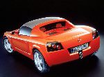fotografija 4 Avto Opel Speedster Targa 2-vrata (1 generacije 2000 2005)