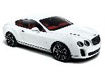 foto 7 Auto Bentley Continental GT Speed kupe 2-vrata (1 generacija 2003 2012)