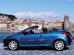 fotografija 2 Avto Peugeot 206 Kabriolet (1 generacije 1998 2003)