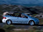 фотографија 5 Ауто Peugeot 307 Кабриолет (1 генерација [редизаjн] 2005 2008)