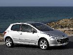 fotografija 9 Avto Peugeot 307 Hečbek 5-vrata (1 generacije [redizajn] 2005 2008)