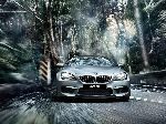 фотография 12 Авто BMW 6 serie Gran Coupe седан (F06/F12/F13 2010 2015)
