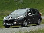 kuva 2 Auto Peugeot 207 SW farmari (1 sukupolvi [uudelleenmuotoilu] 2009 2013)