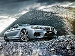 तस्वीर 10 गाड़ी BMW 6 serie Gran Coupe पालकी (F06/F12/F13 2010 2015)